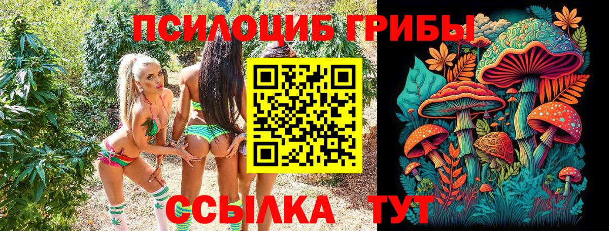 Псилоцибиновые грибы прущие грибы Азнакаево
