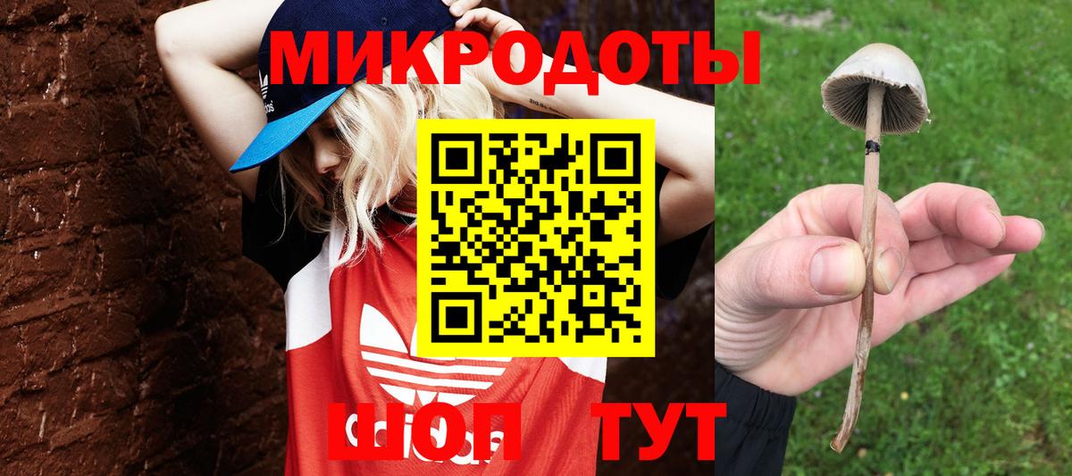Азнакаево  Псилоцибиновые грибы ЛСД  Вход с VPN 